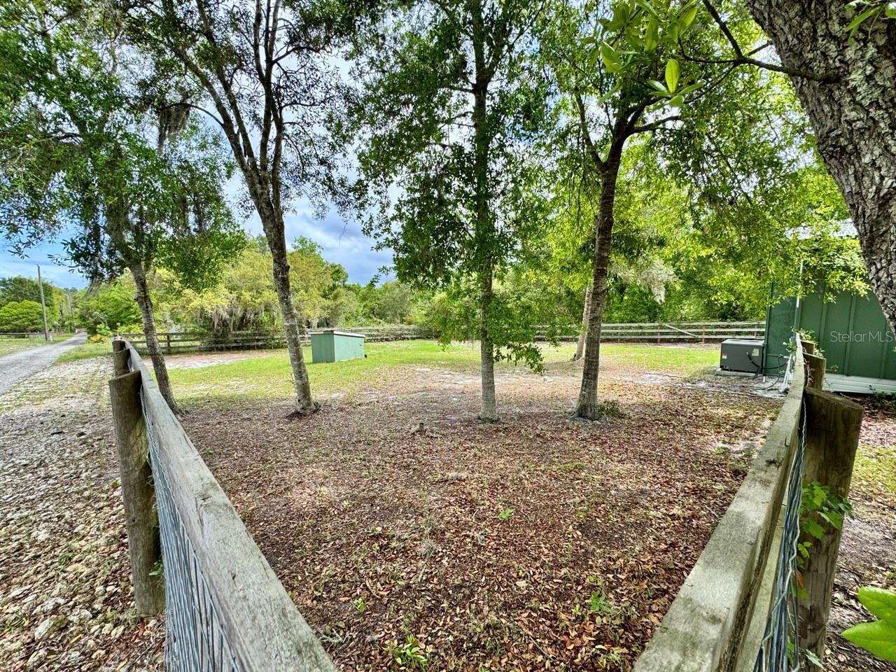 8575 NE 305TH AVE, SALT SPRINGS, FL, 32134
