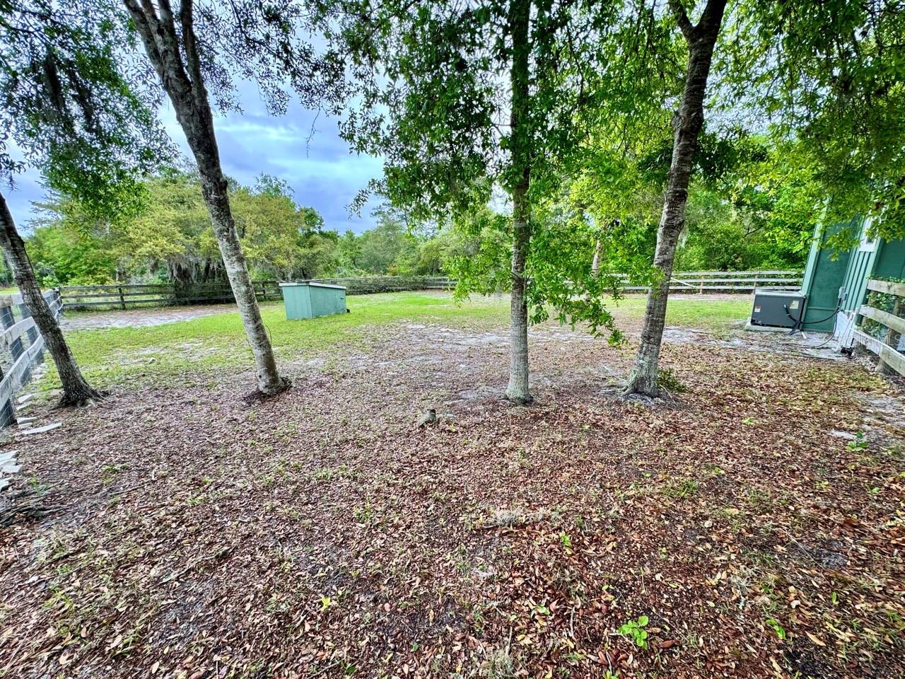 8575 NE 305TH AVE, SALT SPRINGS, FL, 32134