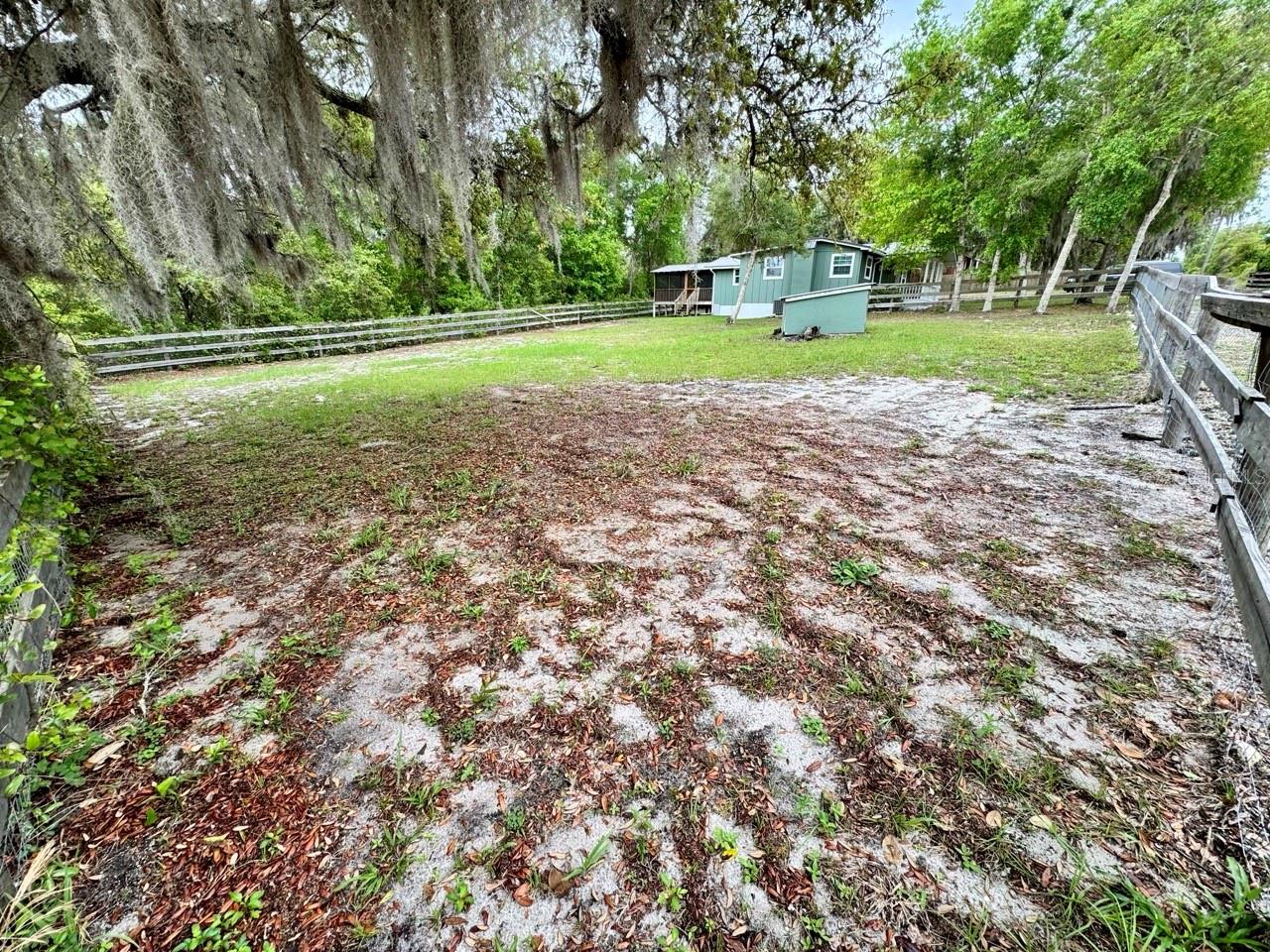 8575 NE 305TH AVE, SALT SPRINGS, FL, 32134