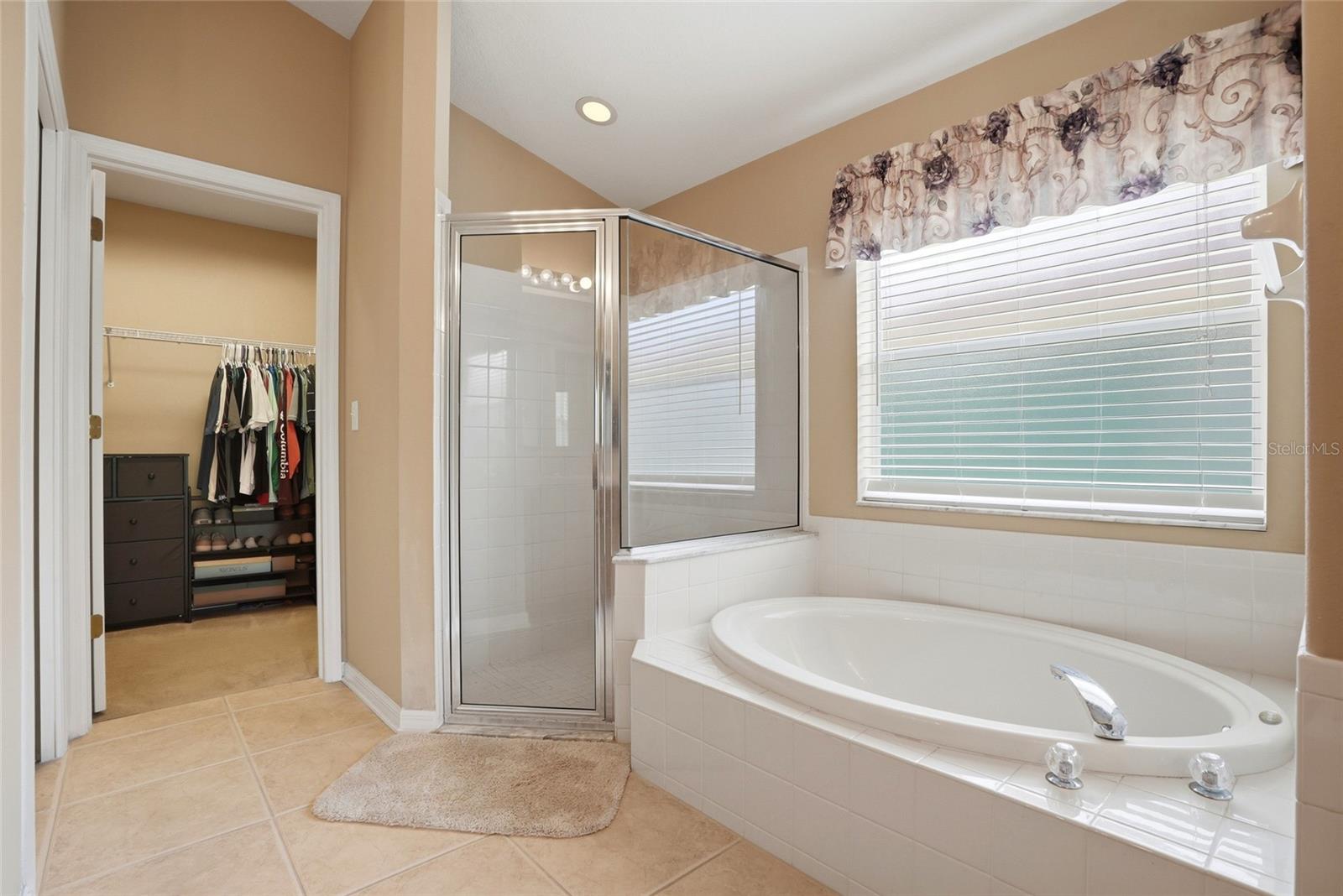 3345 BRENFORD PL, LAND O LAKES, FL, 34638