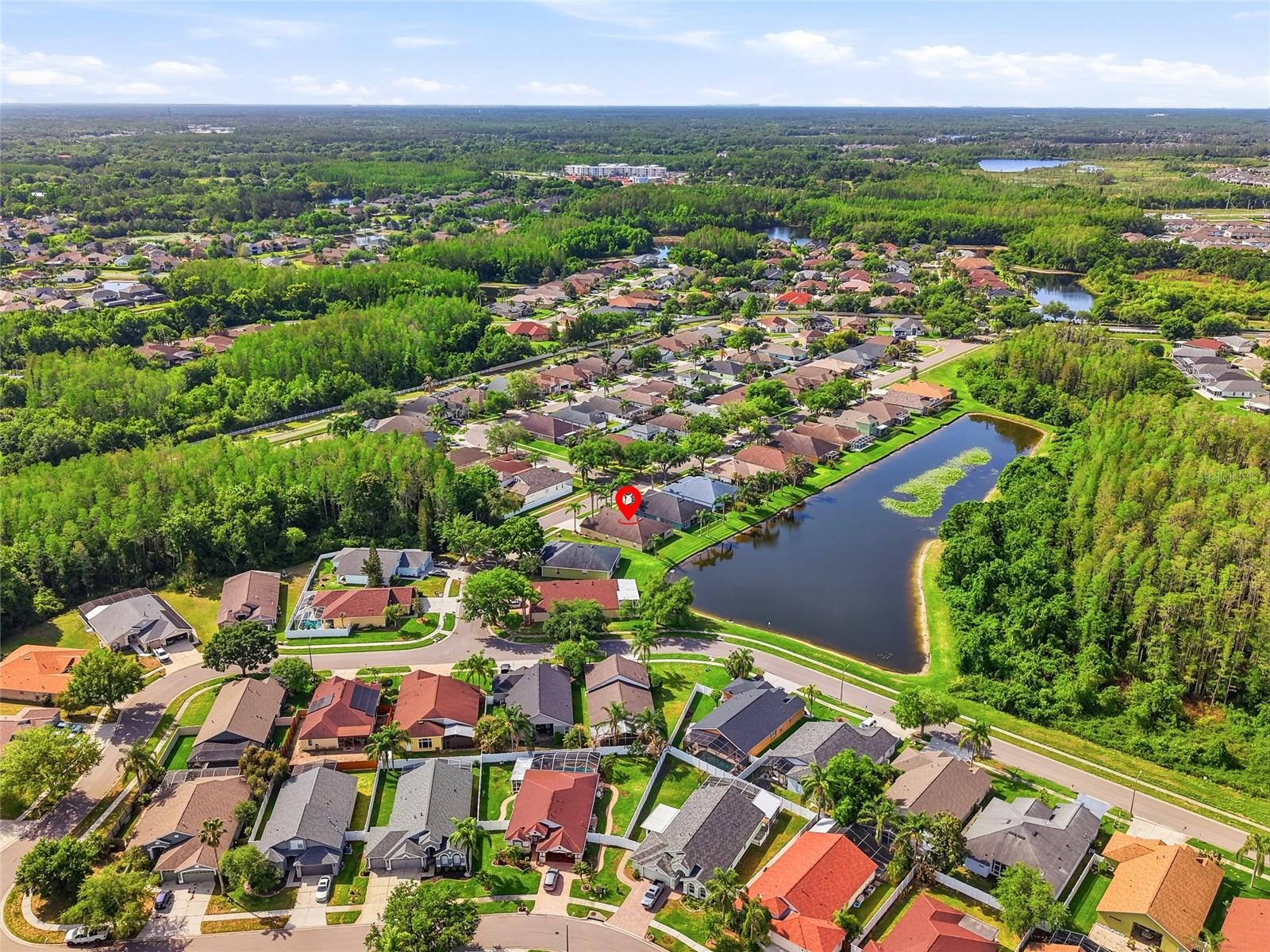 3345 BRENFORD PL, LAND O LAKES, FL, 34638