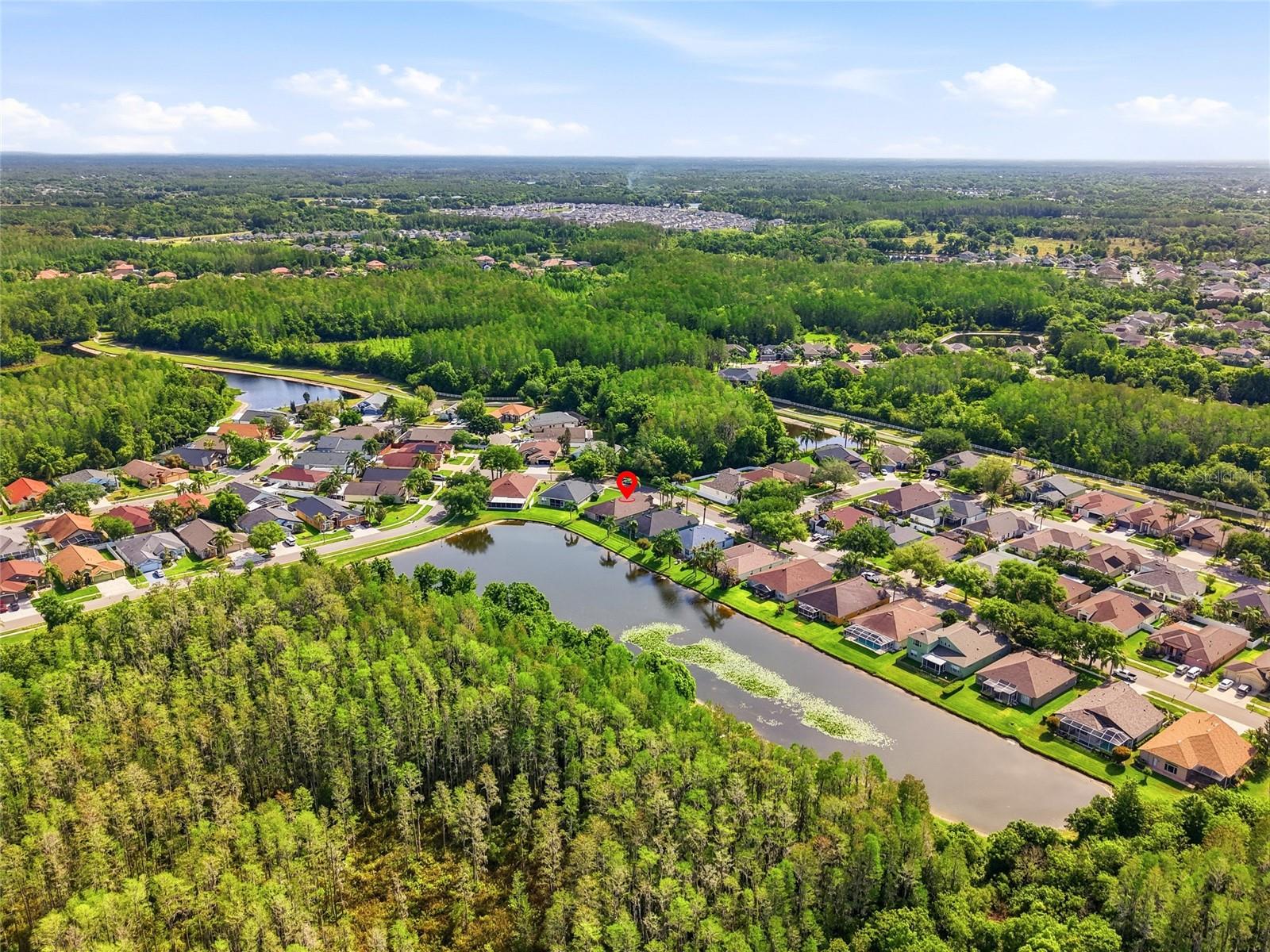 3345 BRENFORD PL, LAND O LAKES, FL, 34638