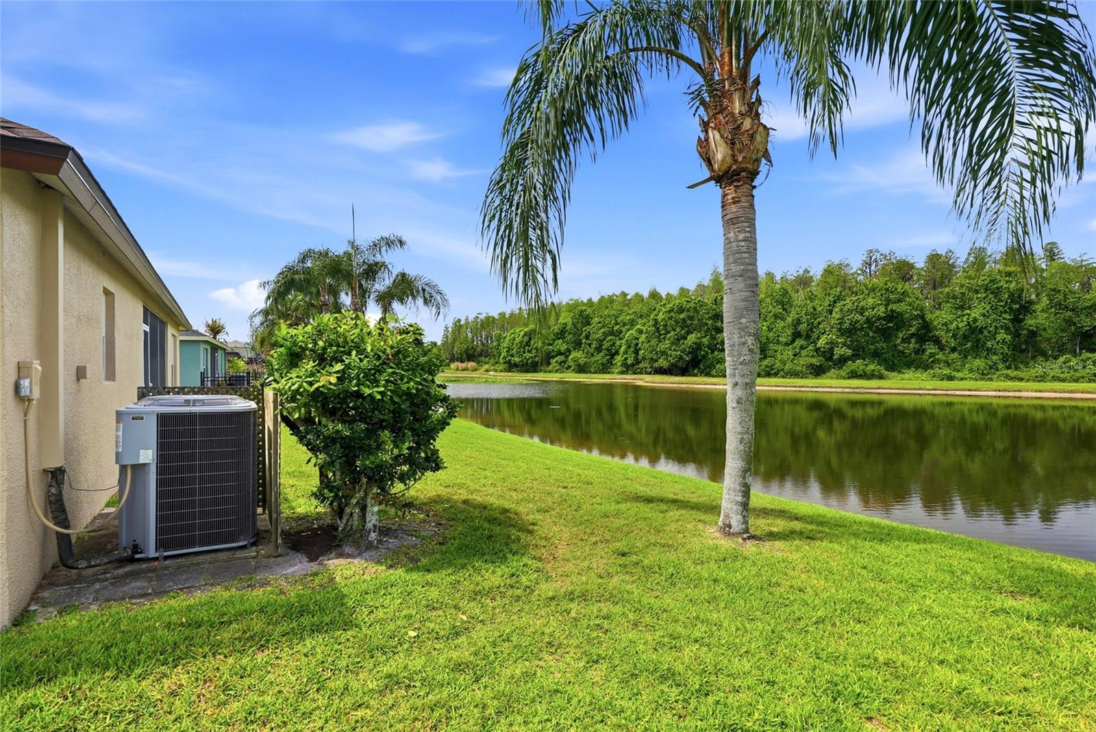 3345 BRENFORD PL, LAND O LAKES, FL, 34638