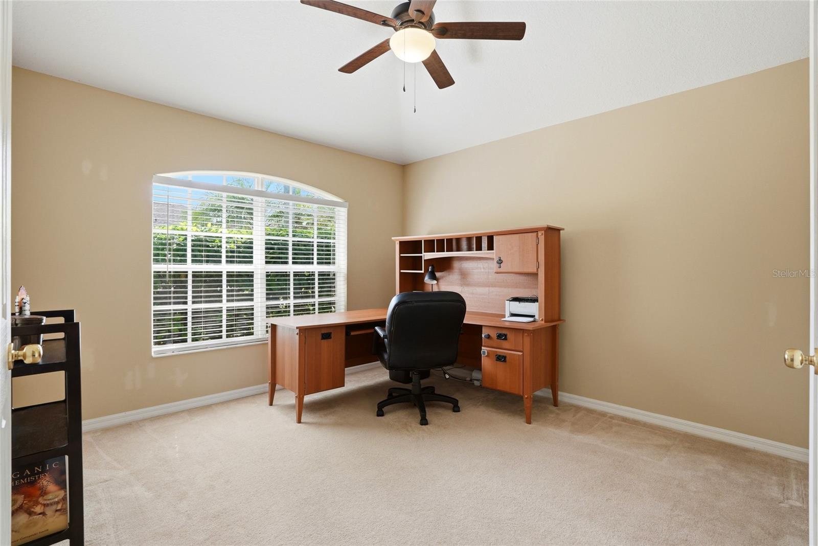 3345 BRENFORD PL, LAND O LAKES, FL, 34638