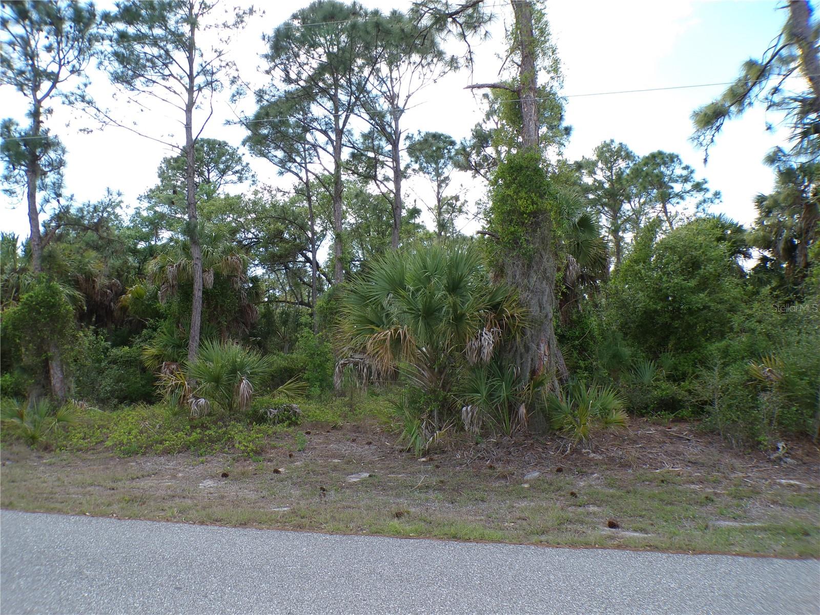55 JUSTINE ST, PORT CHARLOTTE, FL, 33954