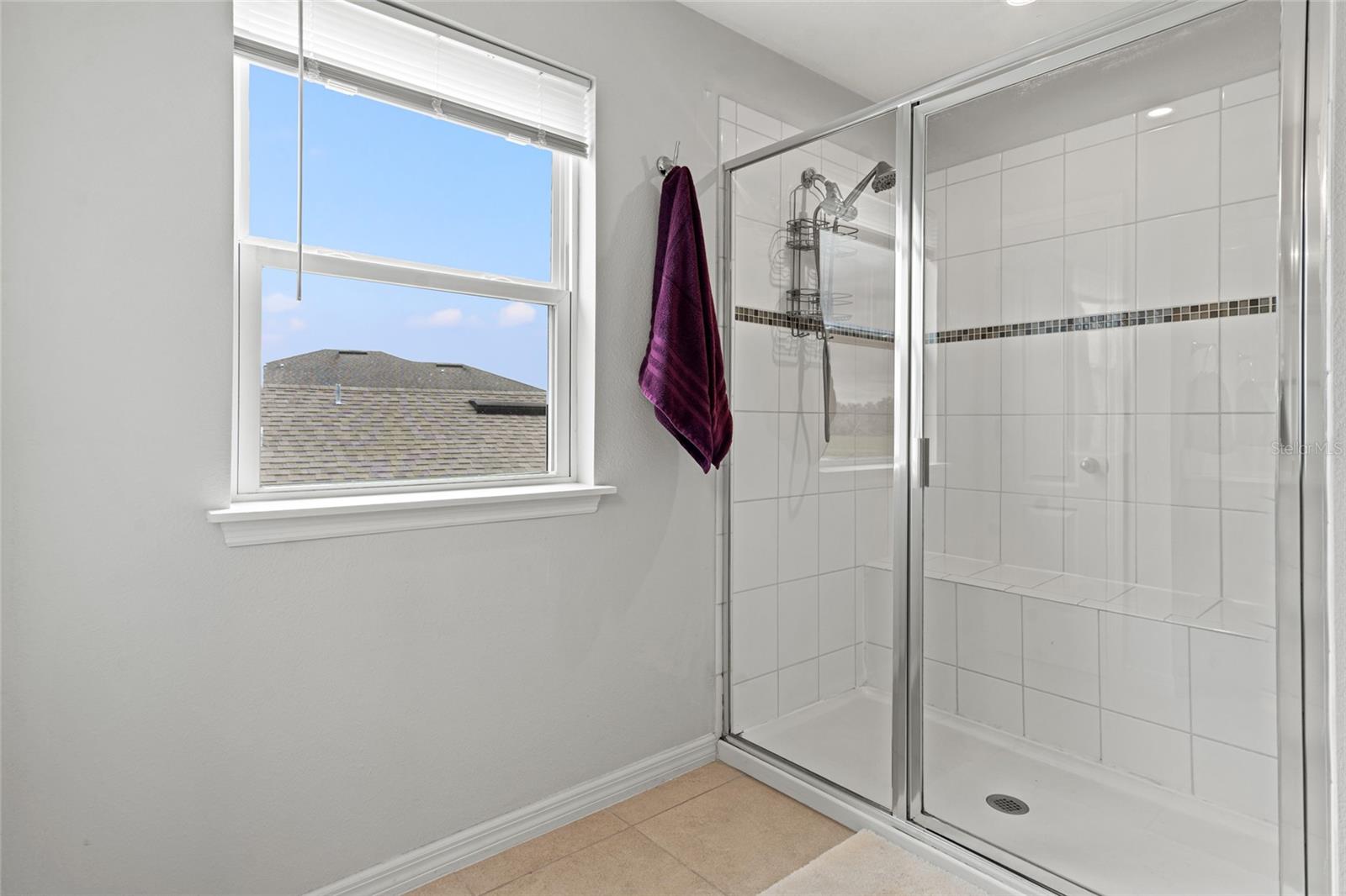 10480 HAWKS LANDING DR, LAND O LAKES, FL, 34638