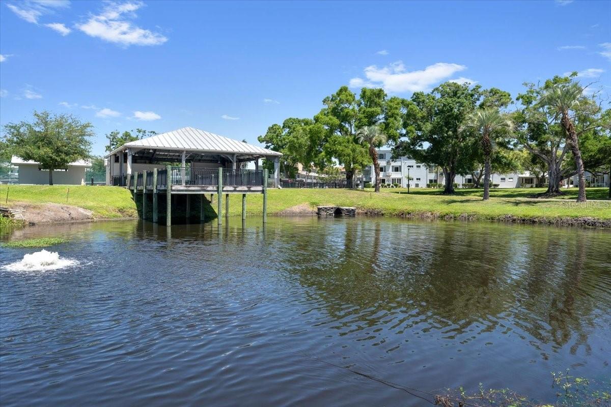2401 FRANCISCAN DR #41, CLEARWATER, FL, 33763