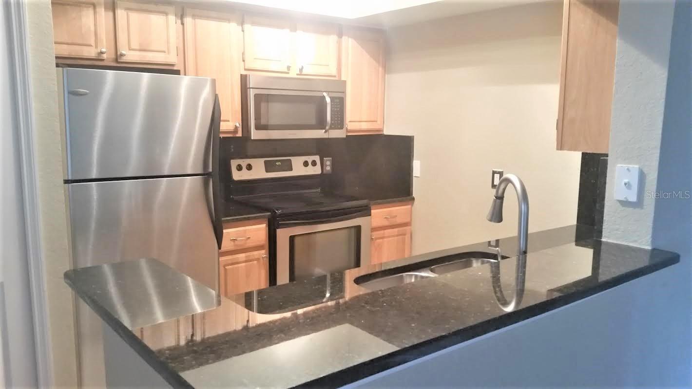 13015 PLANTATION PARK CIR #1017, ORLANDO, FL, 32821