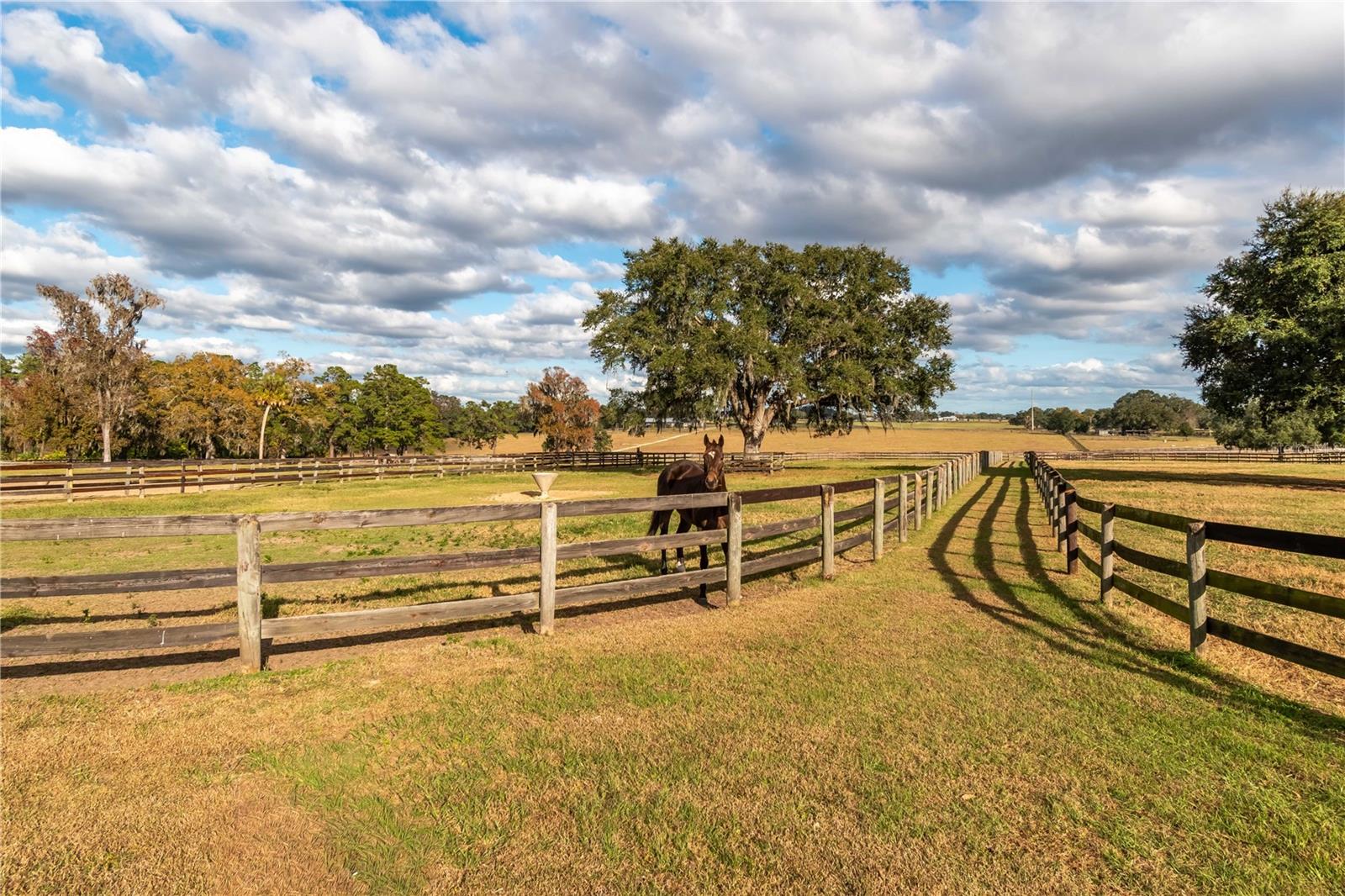 5100 W HWY 329, REDDICK, FL, 32686