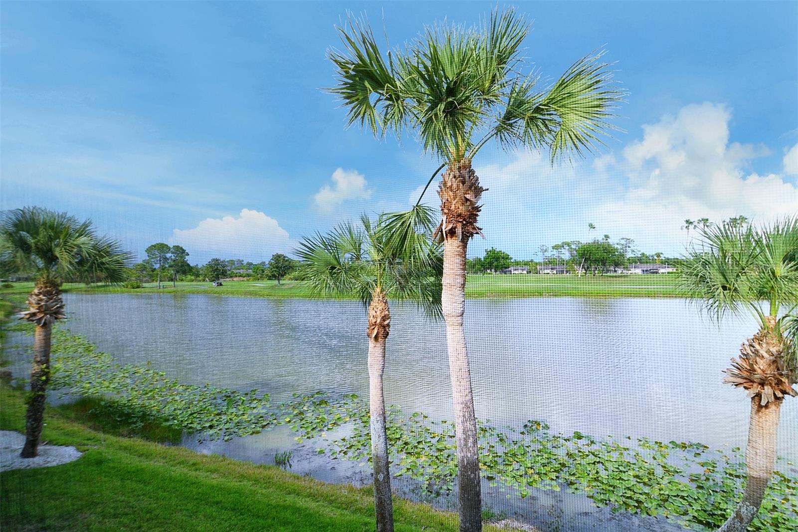 5251 MAHOGANY RUN AVE #525, SARASOTA, FL, 34241