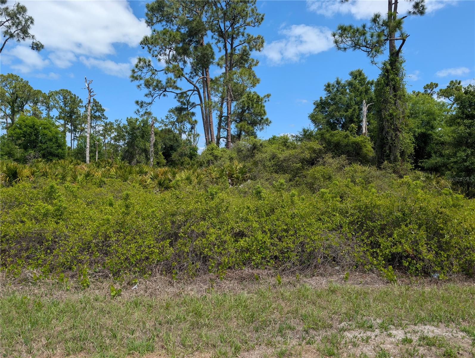 784 WASHINGTON BLVD NE, LAKE PLACID, FL, 33852