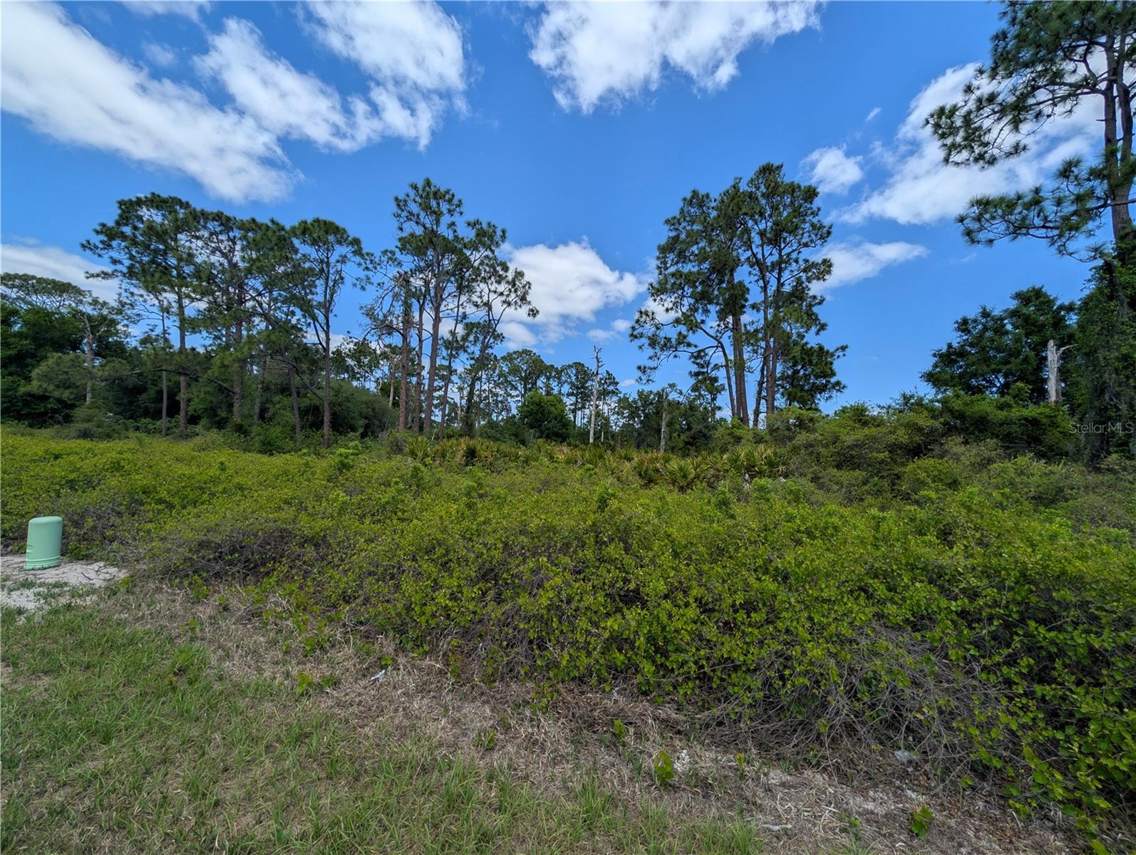 784 WASHINGTON BLVD NE, LAKE PLACID, FL, 33852