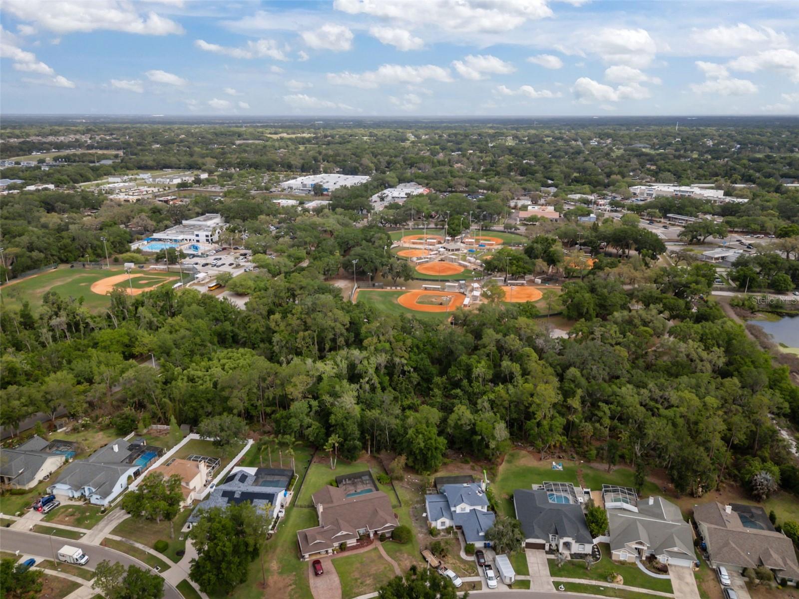 3617 TREELINE DR, VALRICO, FL, 33596