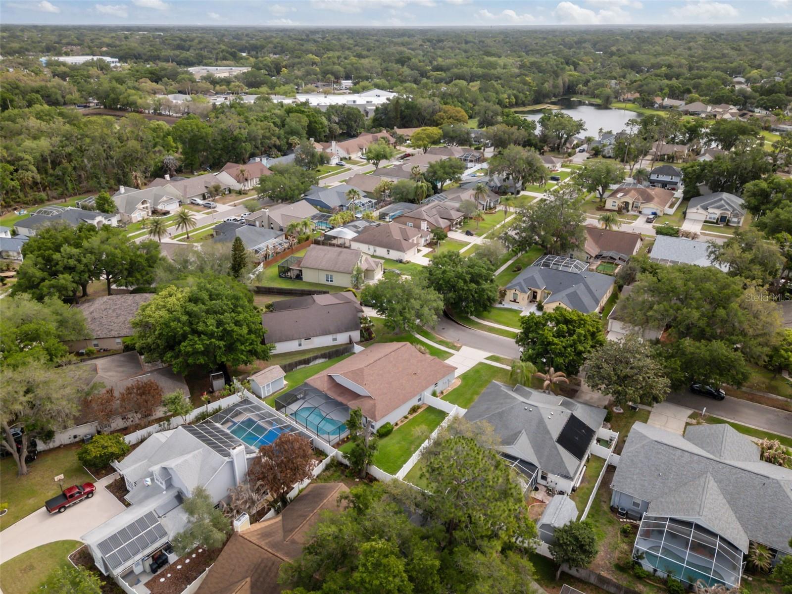 3617 TREELINE DR, VALRICO, FL, 33596