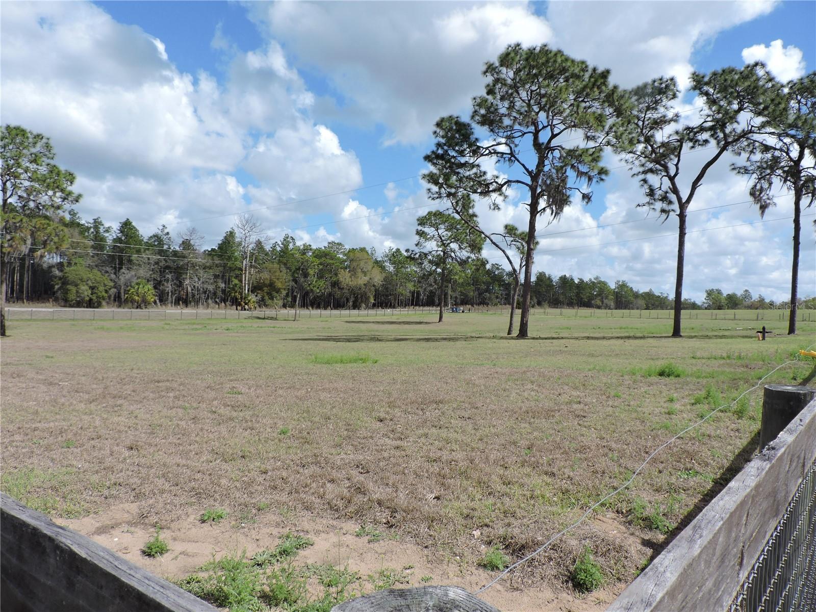 28448 WILDLIFE LN, BROOKSVILLE, FL, 34602