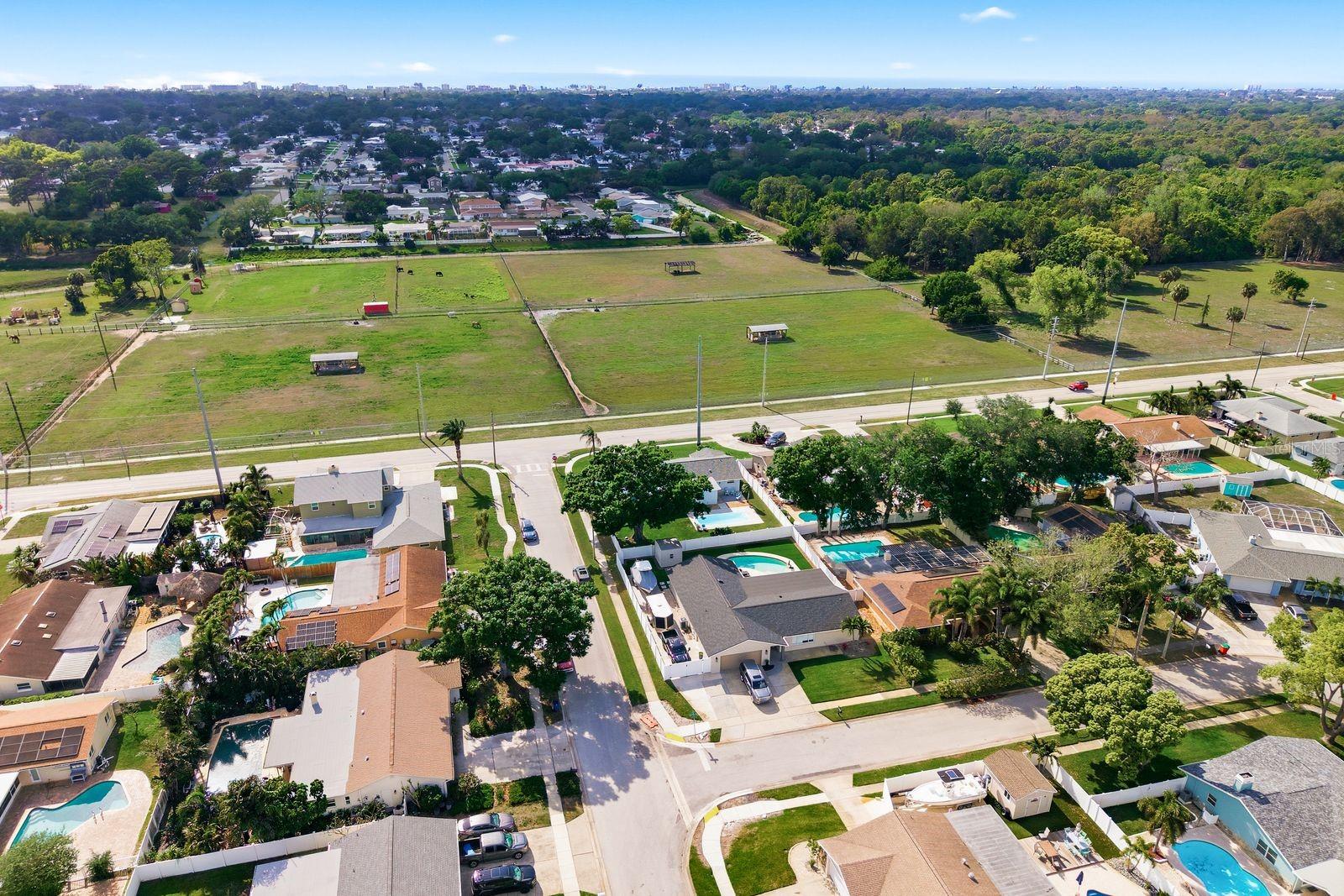 9115 125TH ST, SEMINOLE, FL, 33772