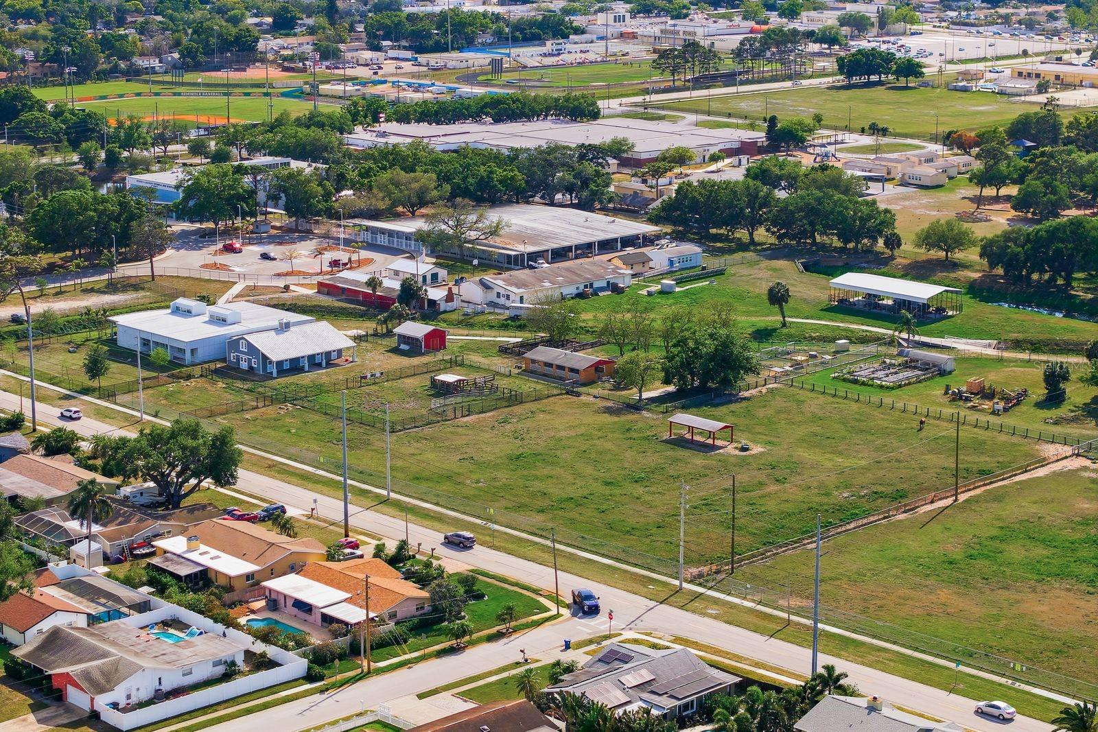 9115 125TH ST, SEMINOLE, FL, 33772