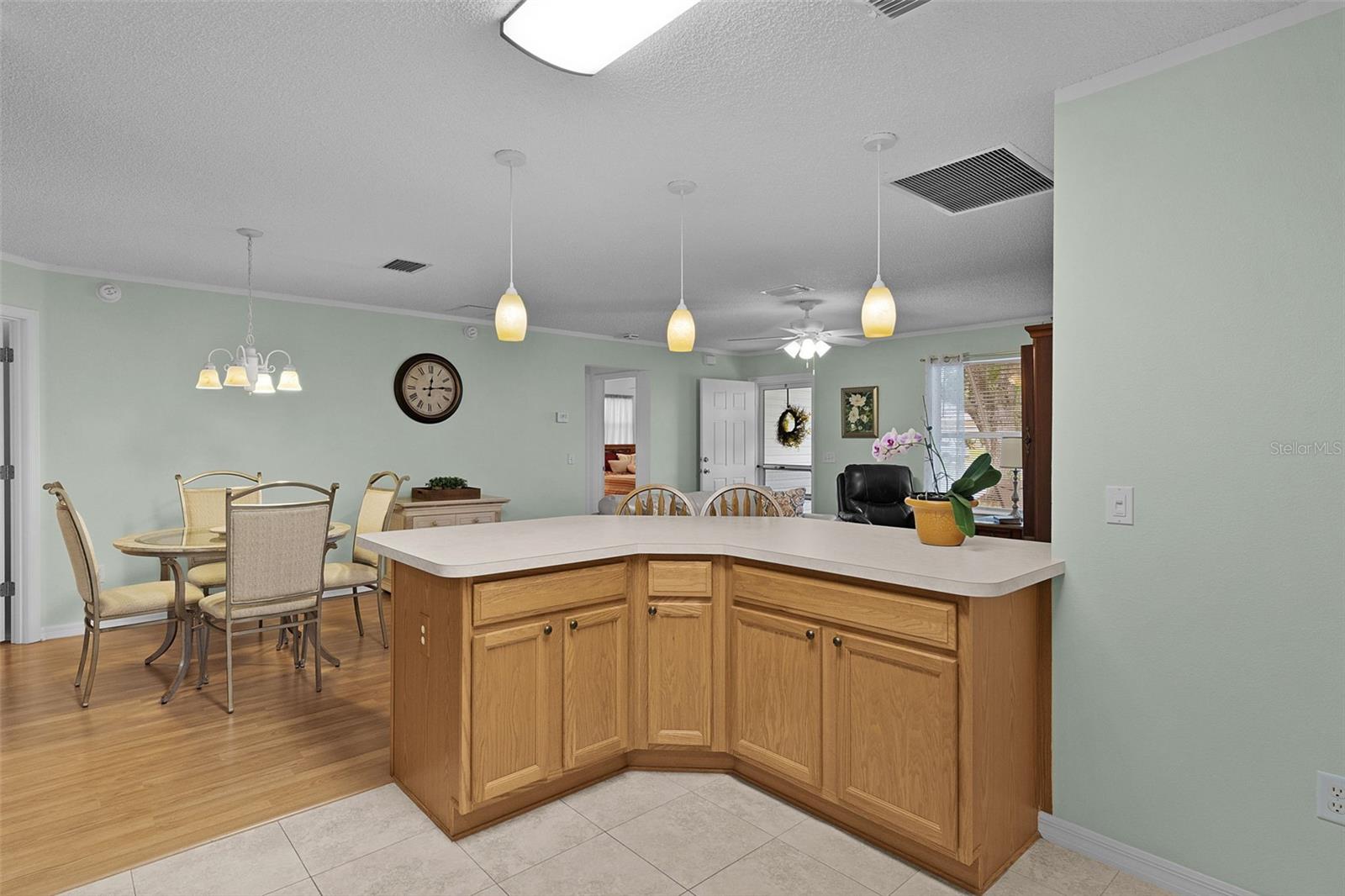 8015 SE 174TH BELHAVEN LOOP, THE VILLAGES, FL, 32162
