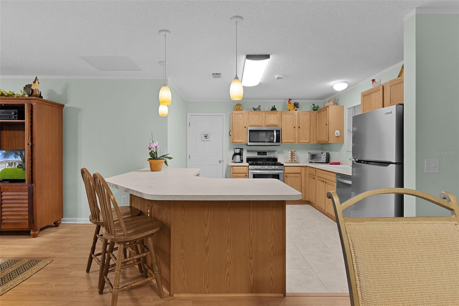 8015 SE 174TH BELHAVEN LOOP, THE VILLAGES, FL, 32162