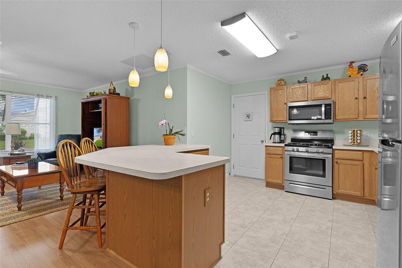 8015 SE 174TH BELHAVEN LOOP, THE VILLAGES, FL, 32162