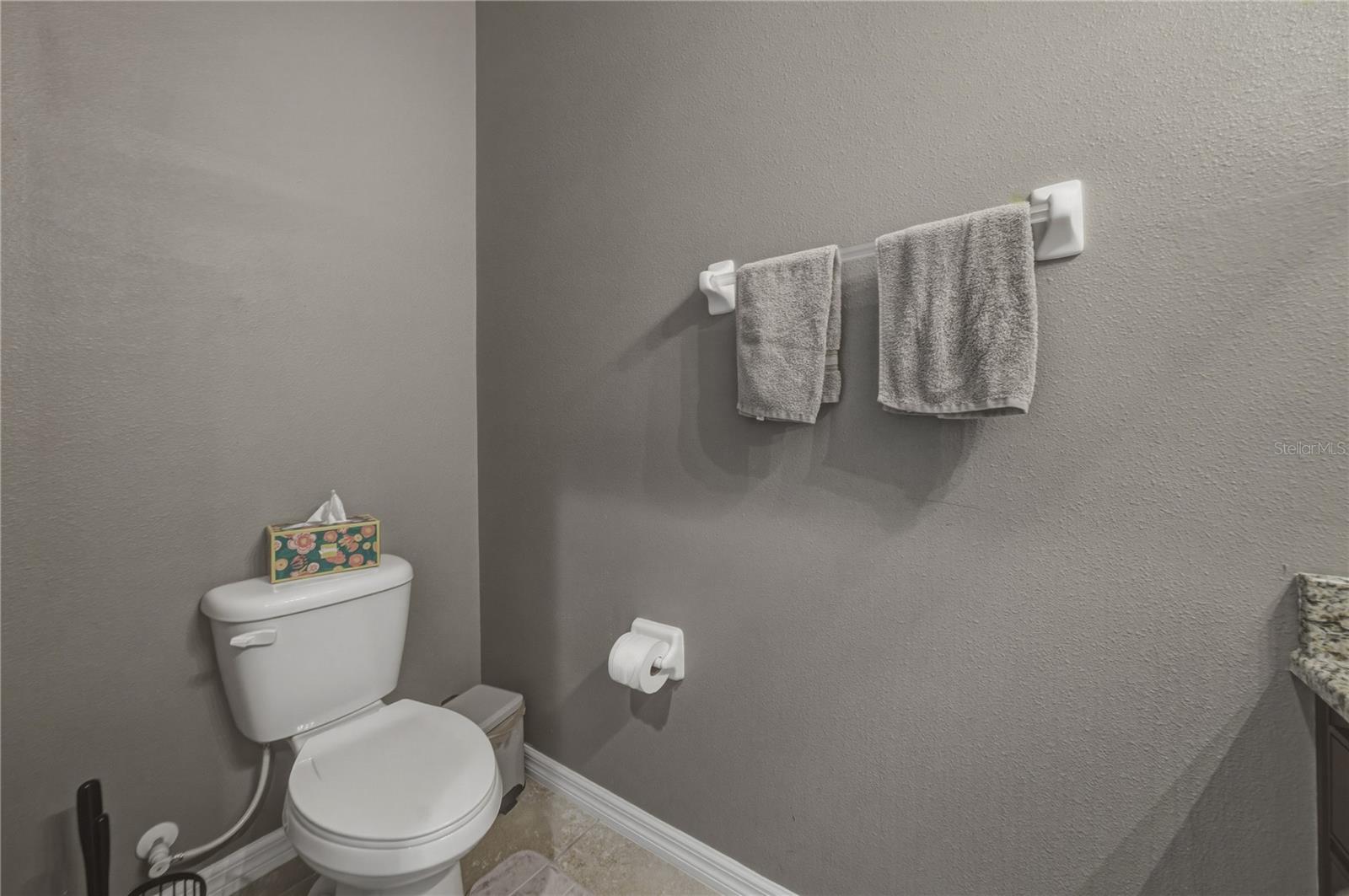 3820 SILVERLAKE WAY, WESLEY CHAPEL, FL, 33544