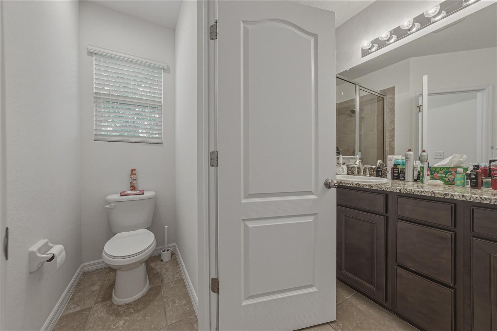 3820 SILVERLAKE WAY, WESLEY CHAPEL, FL, 33544