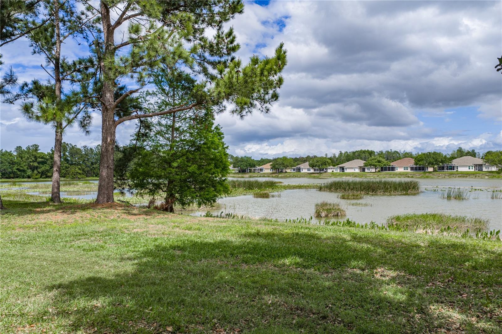 3820 SILVERLAKE WAY, WESLEY CHAPEL, FL, 33544
