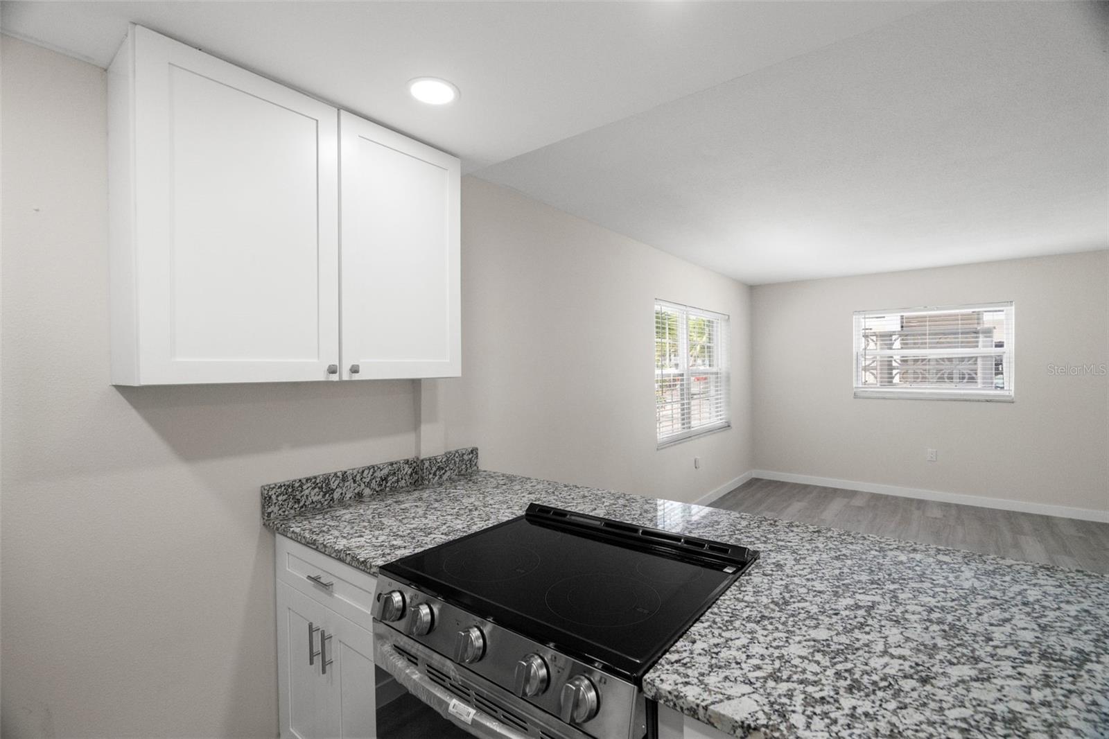 11655 3RD ST E #1, TREASURE ISLAND, FL, 33706