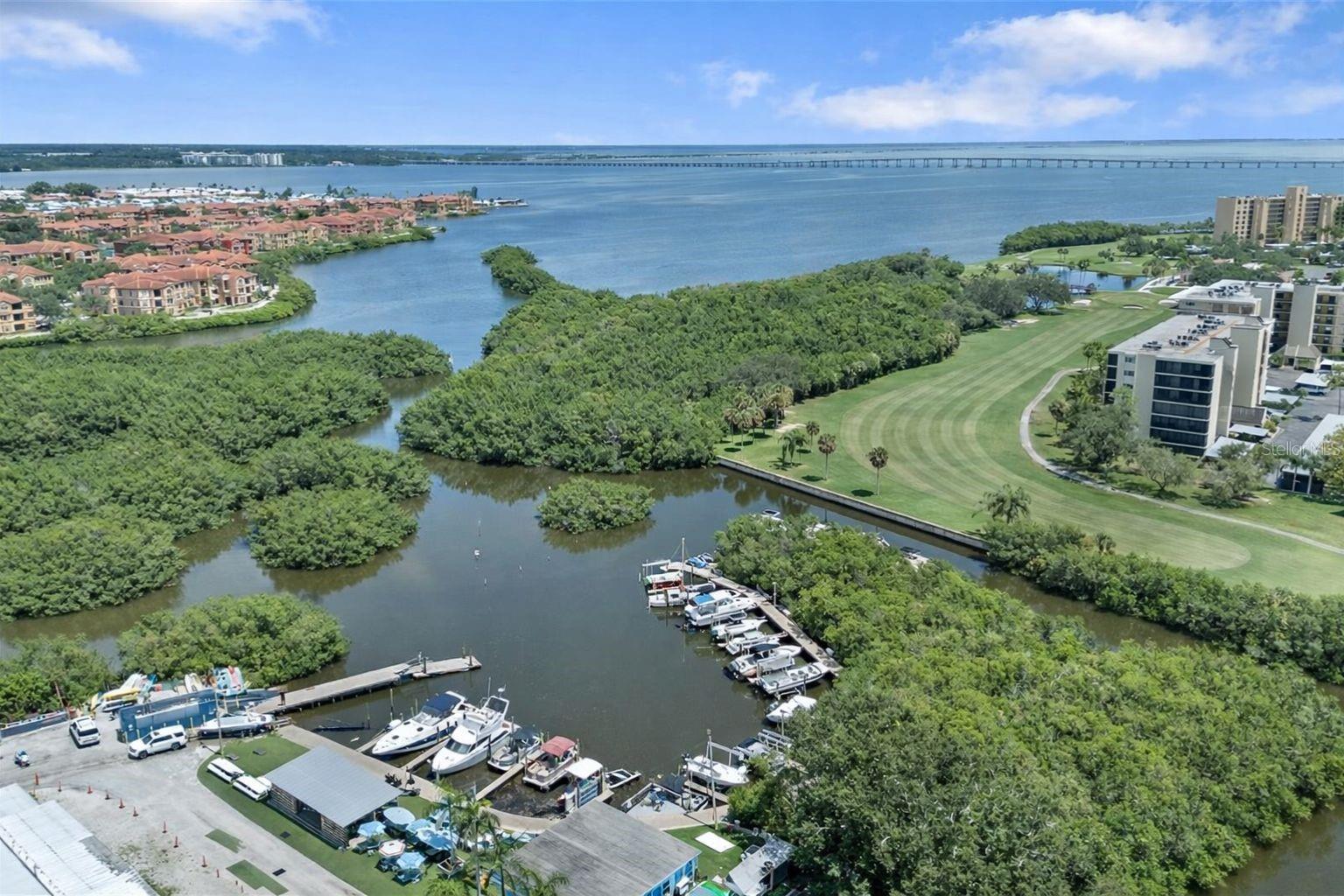 2617 COVE CAY DR #301, CLEARWATER, FL, 33760