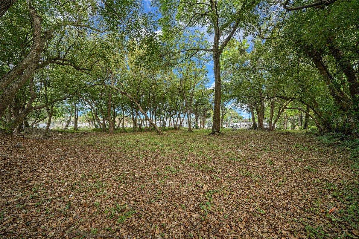 118 NE TUSCAWILLA AVE, OCALA, FL, 34470