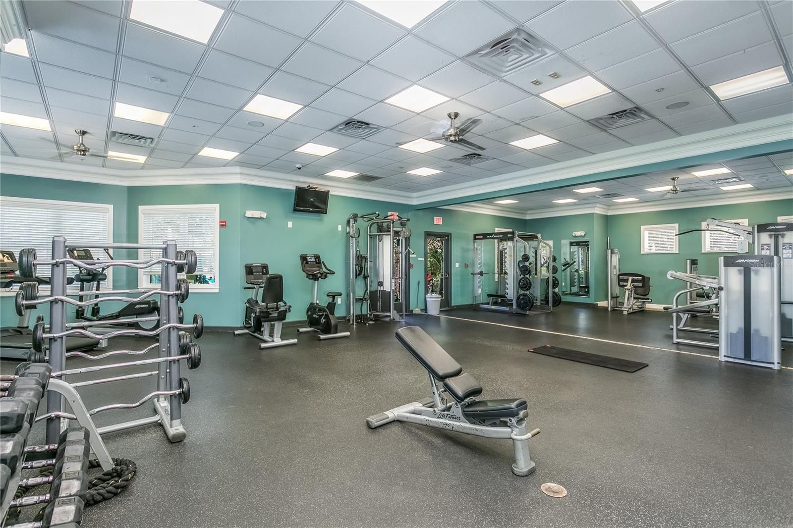 14505 MIRABELLE VISTA CIR, TAMPA, FL, 33626