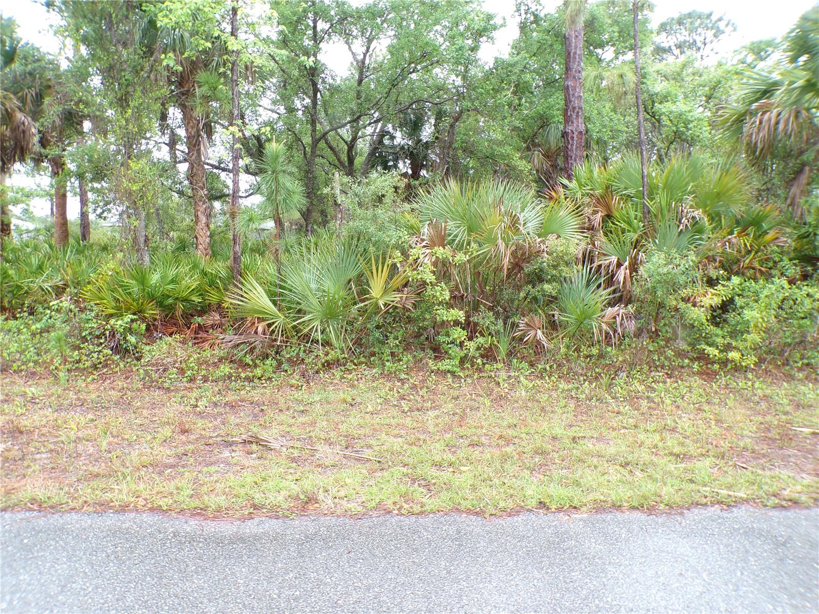 14299 HARCOURT AVE, PORT CHARLOTTE, FL, 33953