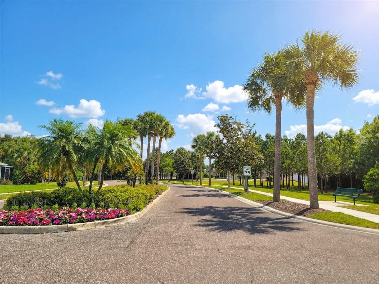 1001 TORREYA WAY, ODESSA, FL, 33556