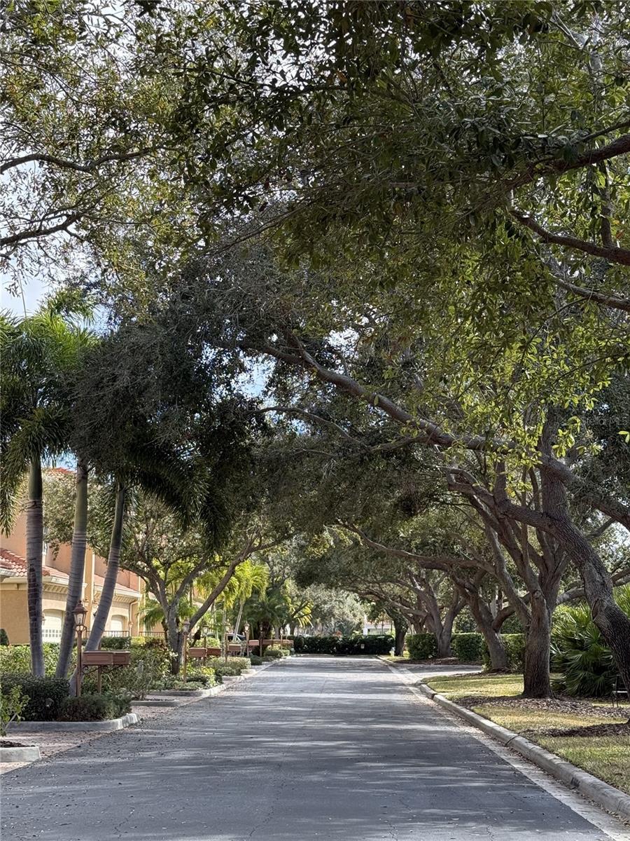 3625 SQUARE WEST LN #4, SARASOTA, FL, 34238