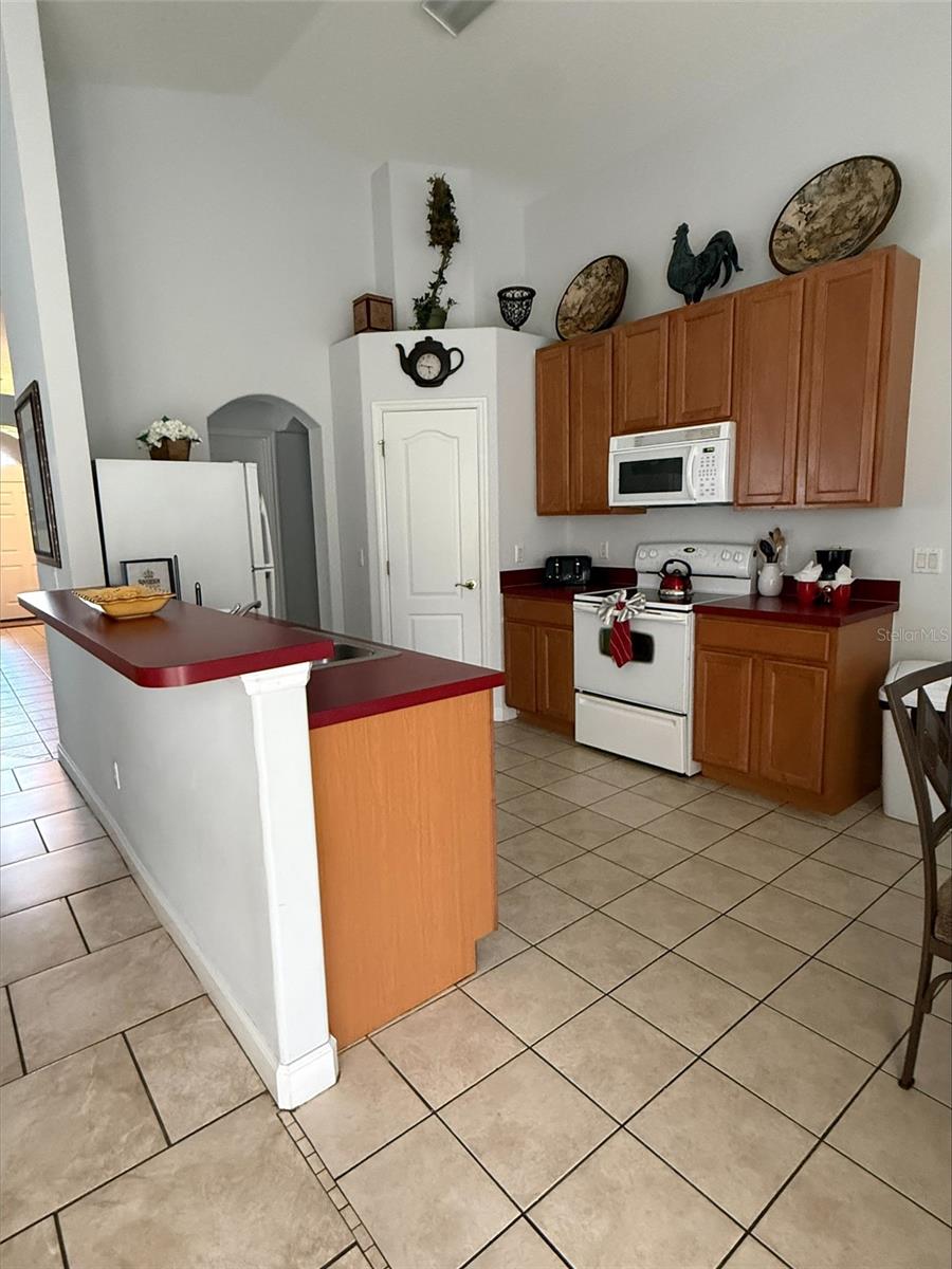 742 OLD BRIDGE CIR, DAVENPORT, FL, 33897