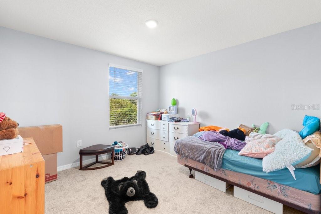 5439 LOGAN CAVE AVE, WIMAUMA, FL, 33598
