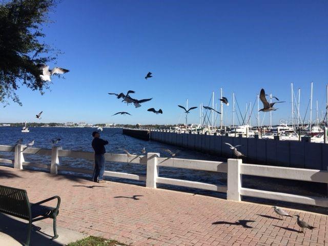 1400 BARCARROTA BLVD #201, BRADENTON, FL, 34205