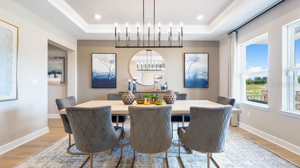 Representative Photo