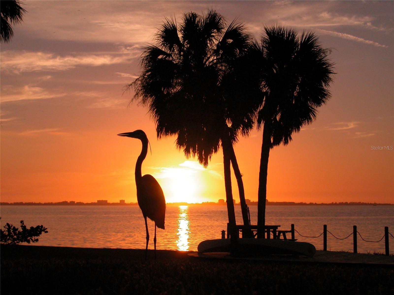 1331 DARYL DR, SARASOTA, FL, 34232