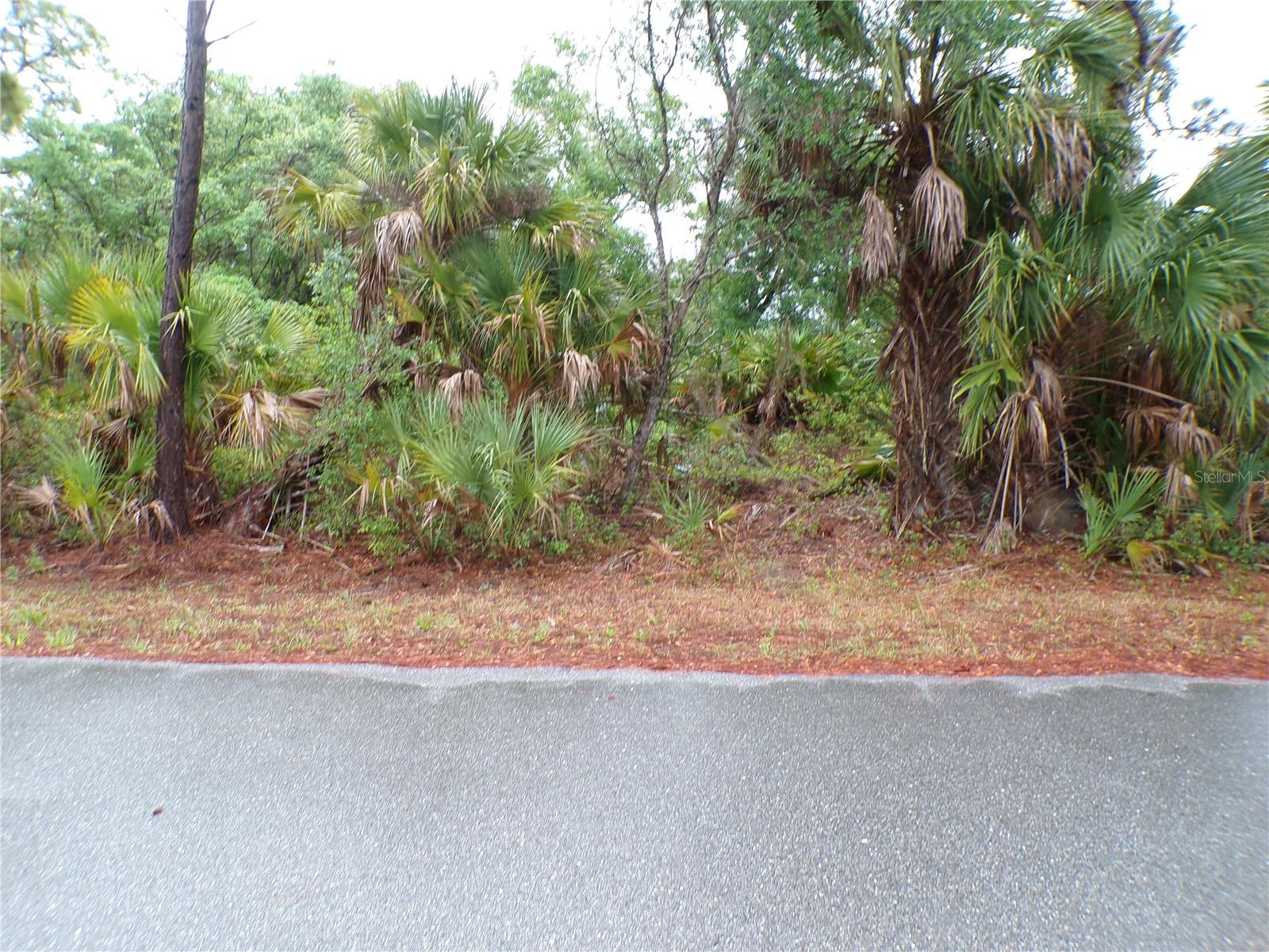 14317 HARCOURT AVE, PORT CHARLOTTE, FL, 33953