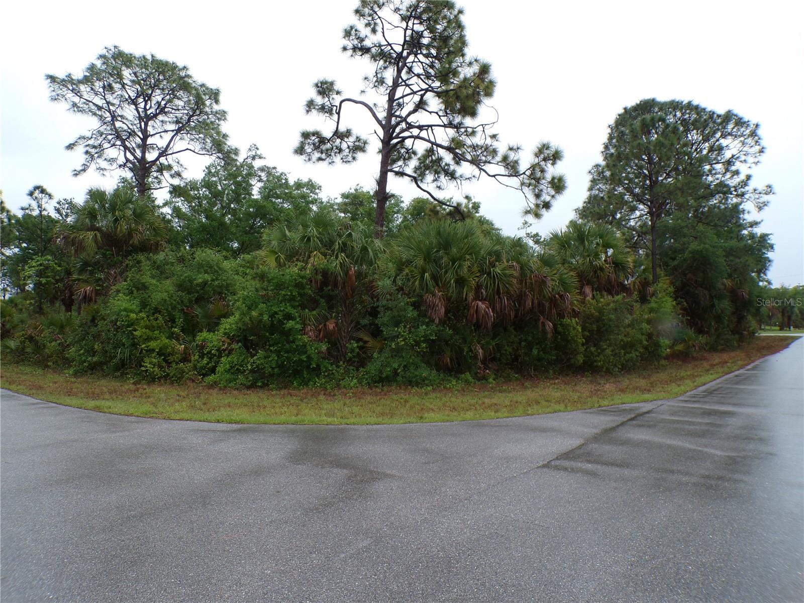 14317 HARCOURT AVE, PORT CHARLOTTE, FL, 33953