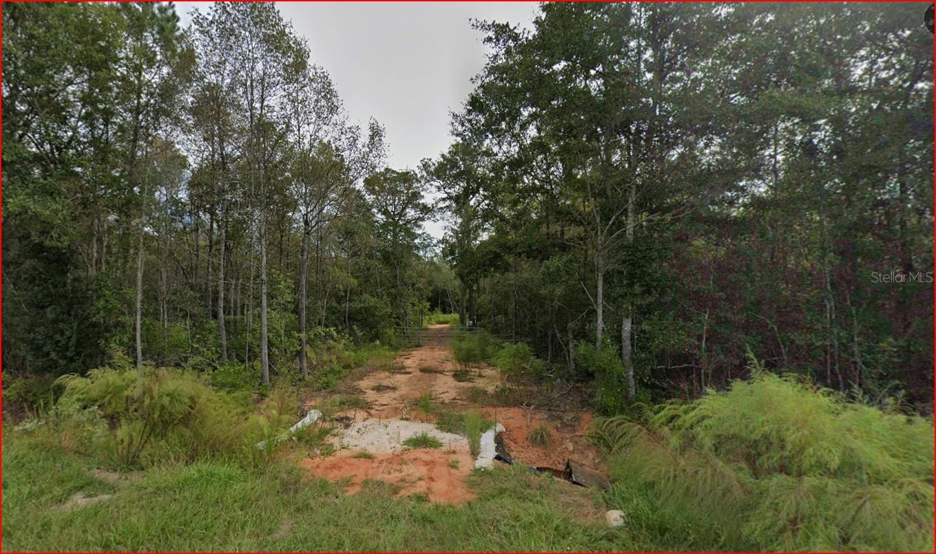 4536 BLACK OAK RD, MILTON, FL, 32583