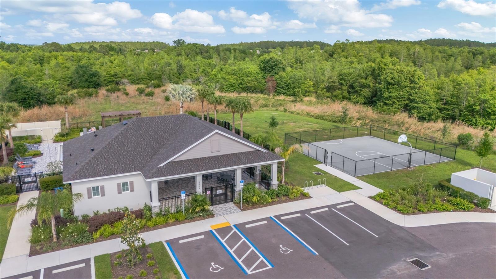 17226 AMBER ASPEN WAY, LAND O LAKES, FL, 34638