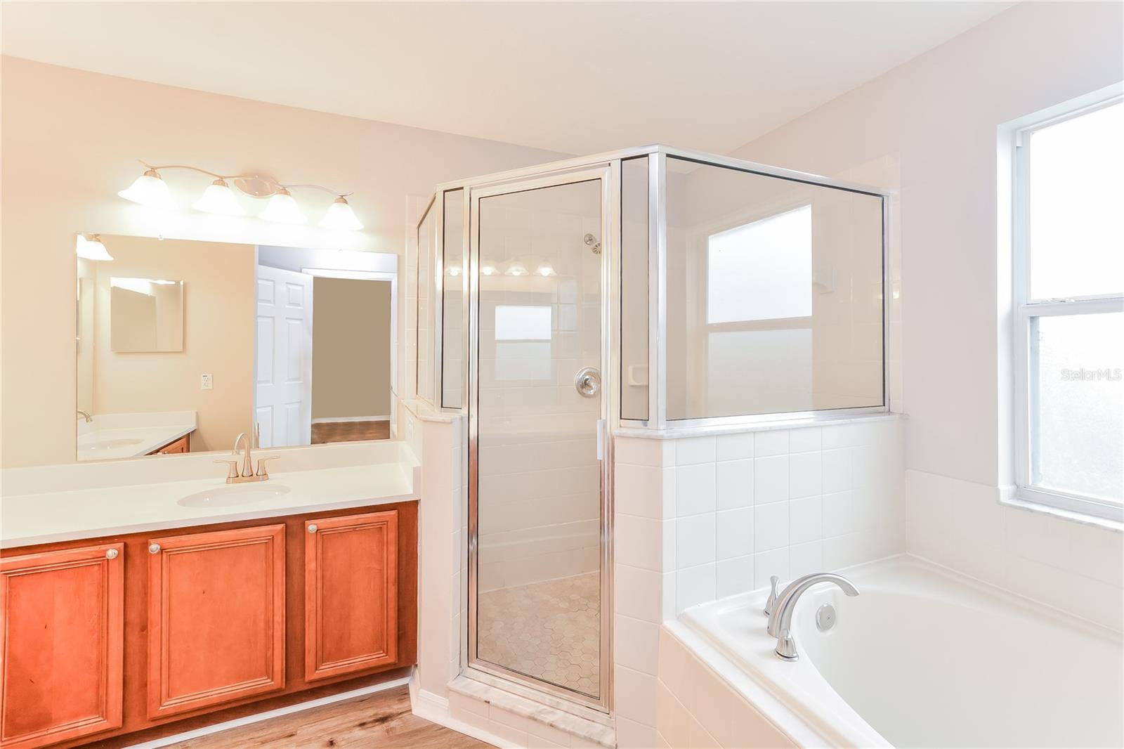 823 ABBEVILLE CT, KISSIMMEE, FL, 34759