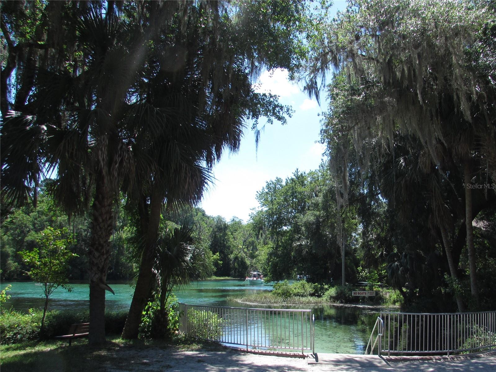 9832 SW 196TH AVENUE RD, DUNNELLON, FL, 34432