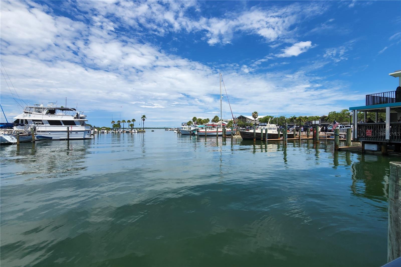 1438 SANTA ANNA DR, DUNEDIN, FL, 34698