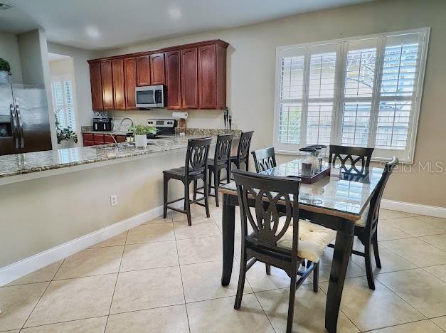 9162 VENEZIA PLANTATION DR, ORLANDO, FL, 32829