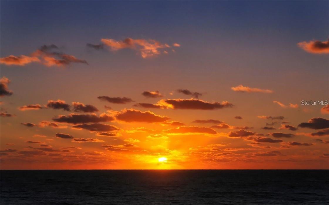 2946 CLARK RD #2946, SARASOTA, FL, 34231