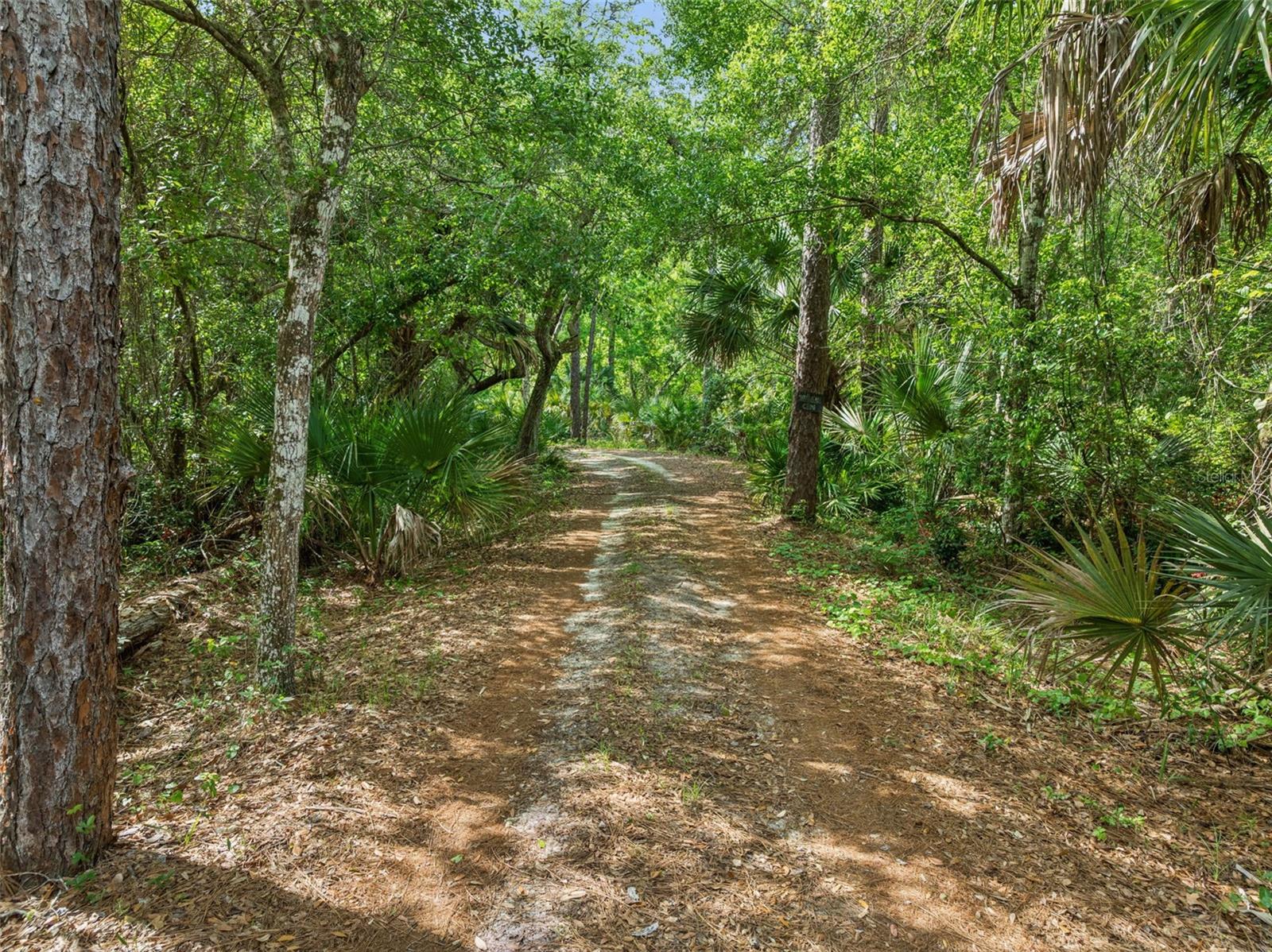 2260 PANORAMA DR, CHULUOTA, FL, 32766