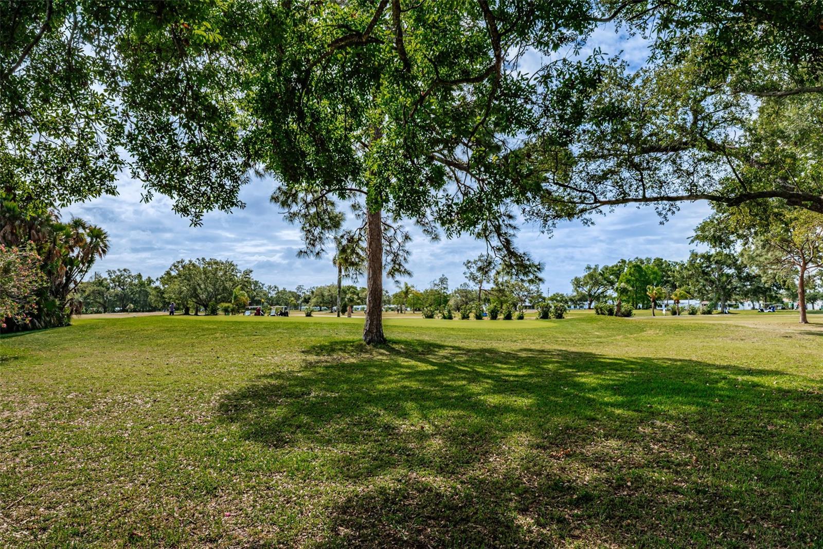 4286 96TH AVE N, PINELLAS PARK, FL, 33782